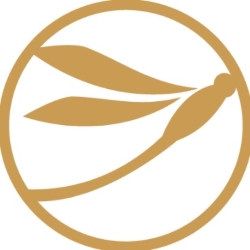 Amberwing Organics Affiliate Marketing Website