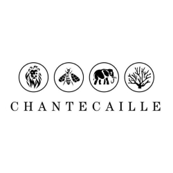 Chantecaille Affiliate Marketing Website