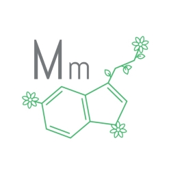 Mindful Matter Supplements Programme Supplements Affiliate Website