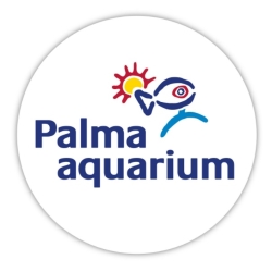 Palma Aquarium Affiliate Marketing Website