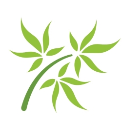Rasasvada Botanics Supplements Affiliate Marketing Program