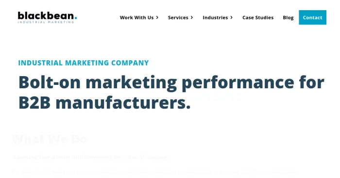 Top 10 BlackBean  Industrial Marketing Alternatives in 2025