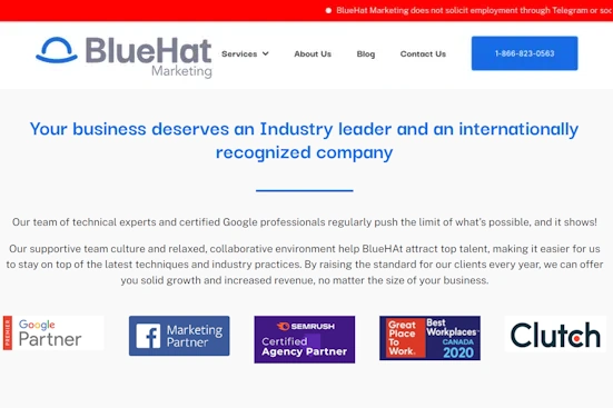 BlueHat Marketing
