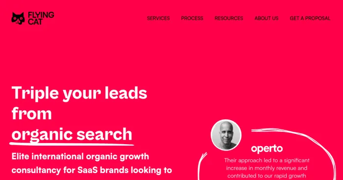 Top 10 Flying Cat Marketing Alternatives  Competitors 2025