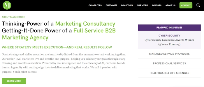 Magnetude Consulting