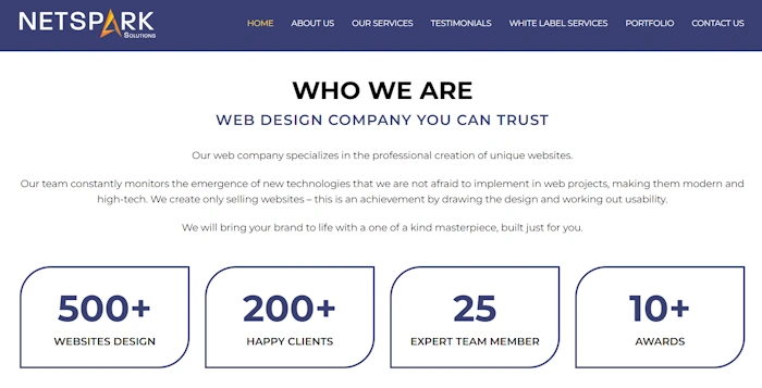 Net Spark Solutions Reviews 2025