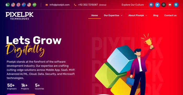 Top 10 Pixelpk Technologies Alternatives  Competitors 2025
