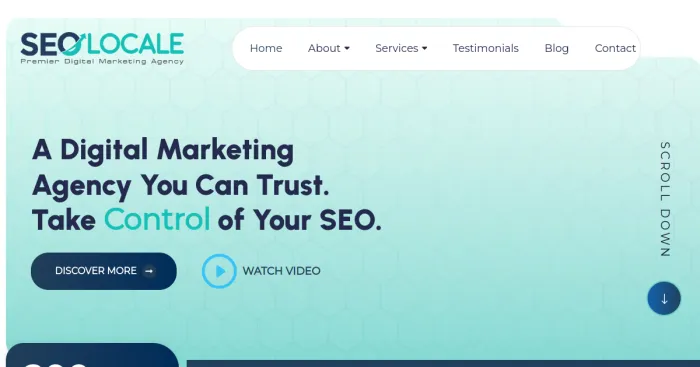 Top 10 SEO Locale Alternatives  Competitors in 2025