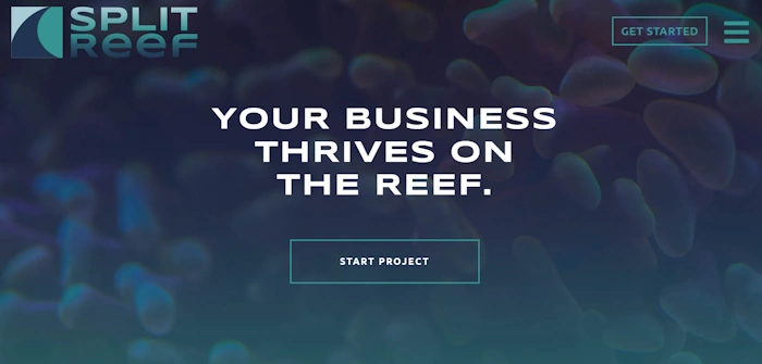 Top 10 Split Reef Alternatives  Competitors in 2025