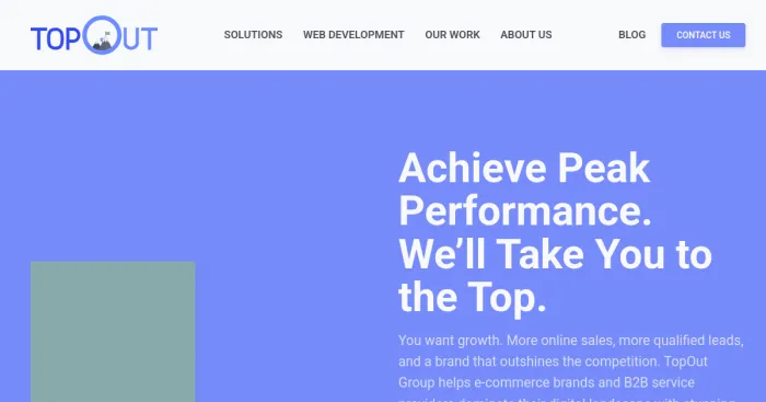 TopOut Group