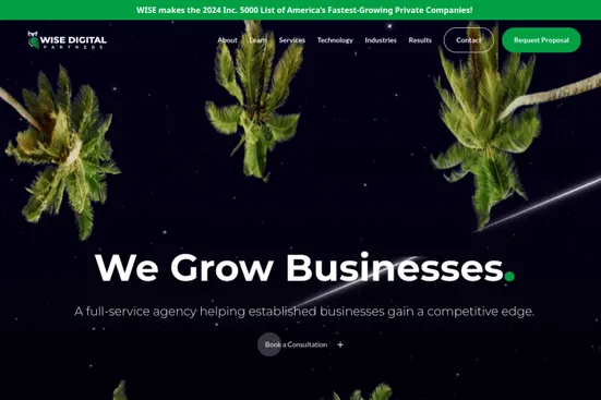 WISE Digital Partners