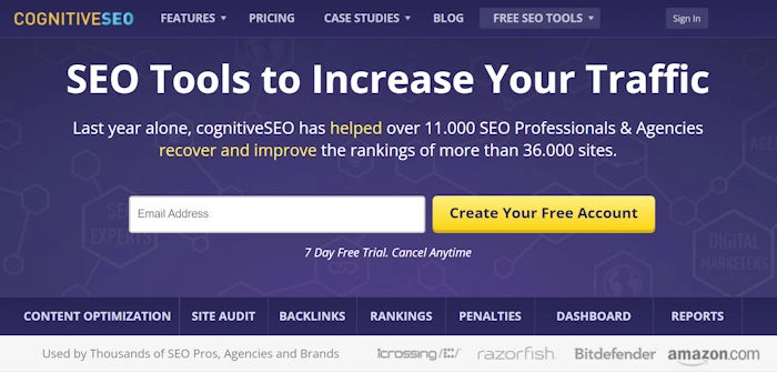 CognitiveSEO