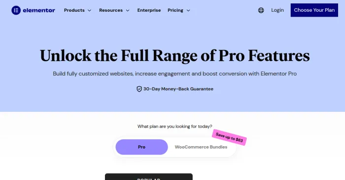 Elementor Pro