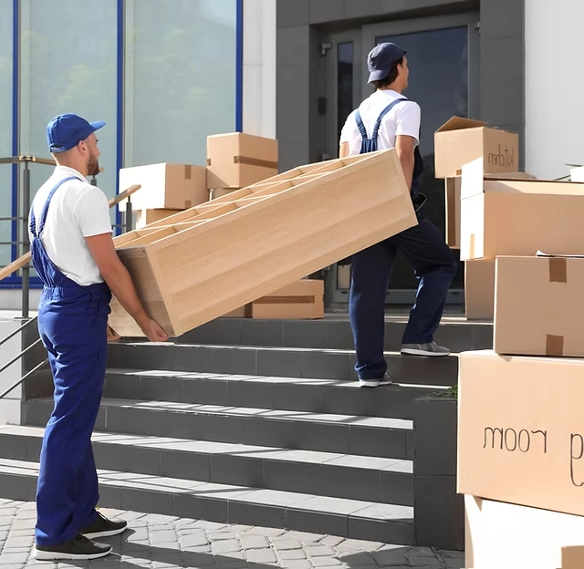 Monthly SEO performance reporting for moving companies