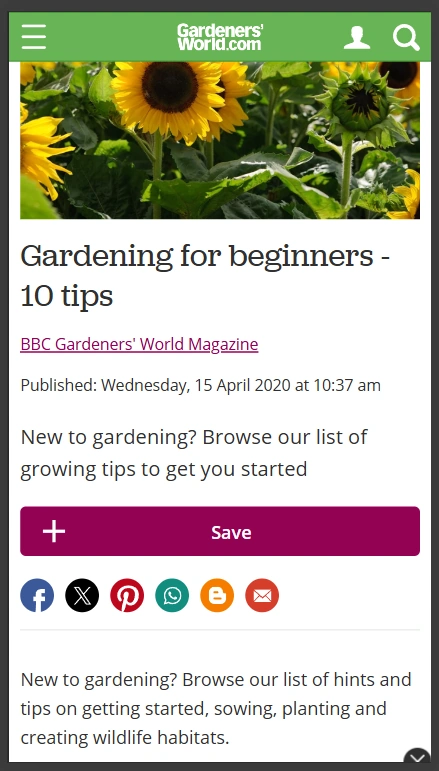 Make It Mobile-Friendly