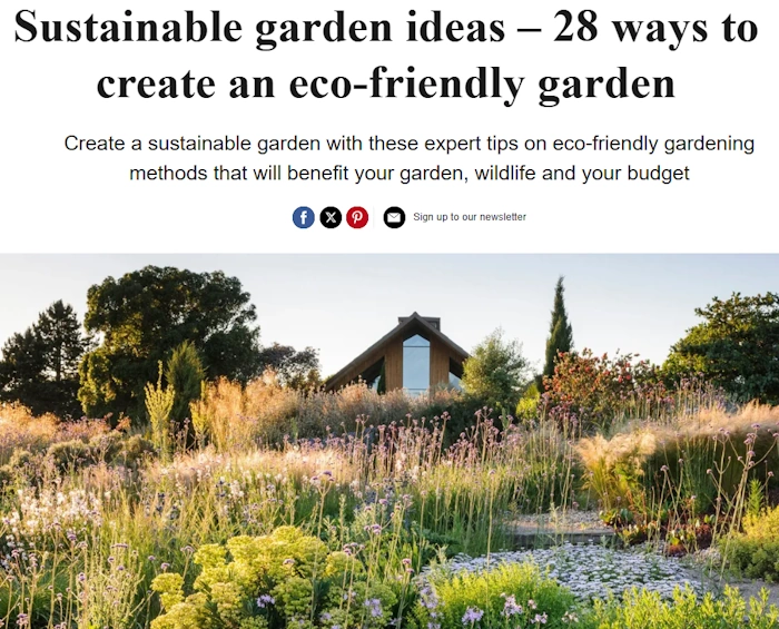 Craft Content That Counts