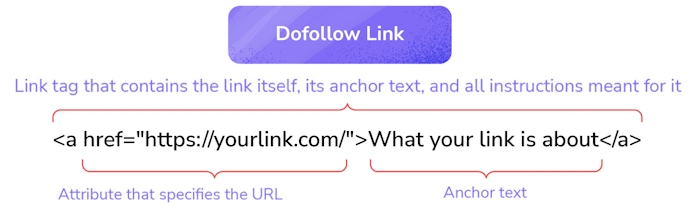 Dofollow Links: The Basics