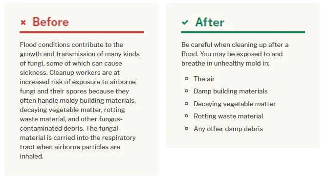 Use Bullet Points and Lists