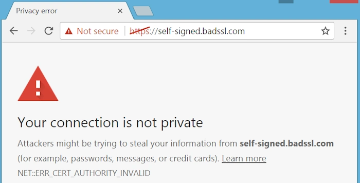Avoiding Browser Warnings