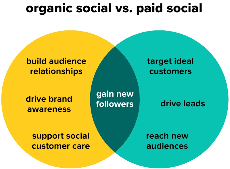 Tap Into Social Media