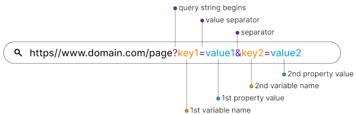 Grasping Query Parameters