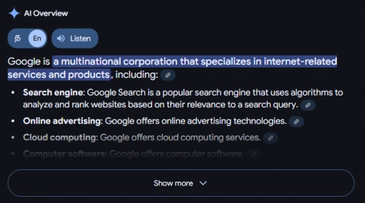 The Future of Rich Snippets