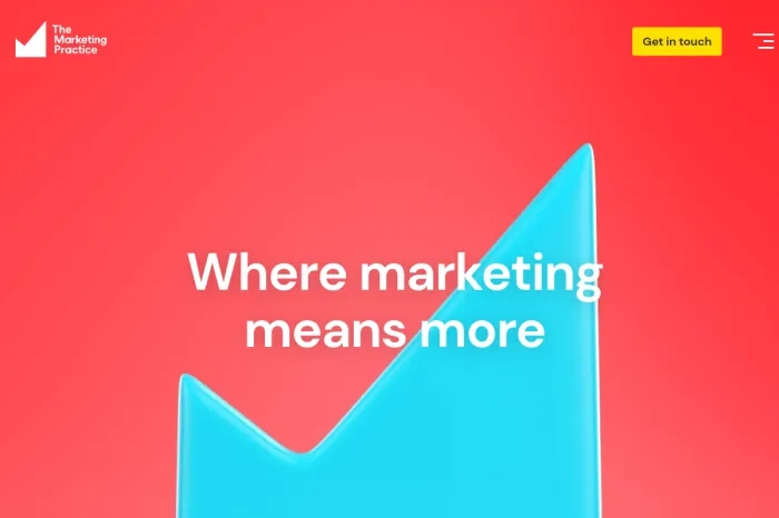 The Marketing Practice