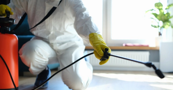 Top 10 Pest Control Google Ads Companies 2025