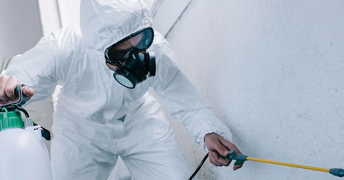 Top 10 Pest Control PPC Companies 2025