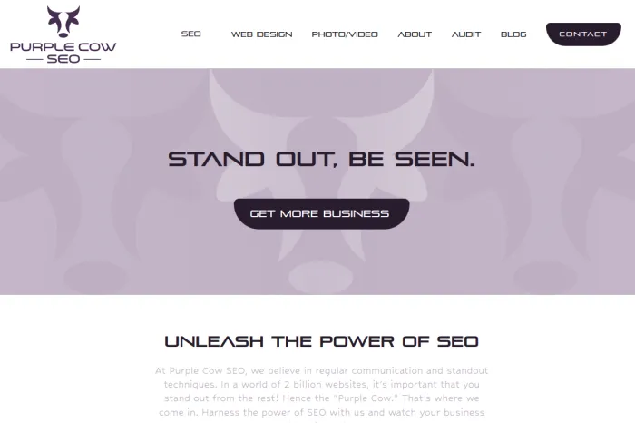 Purple Cow SEO