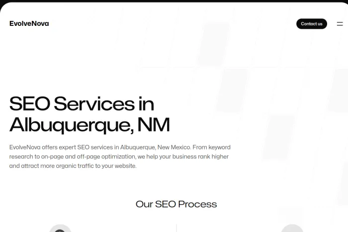New Mexico SEO