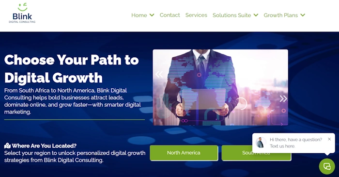 Blink Digital Consulting