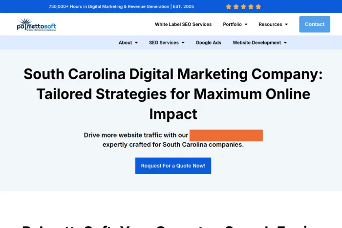 PalmettoSoft, LLC