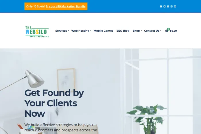 The Web Silo Online Marketing