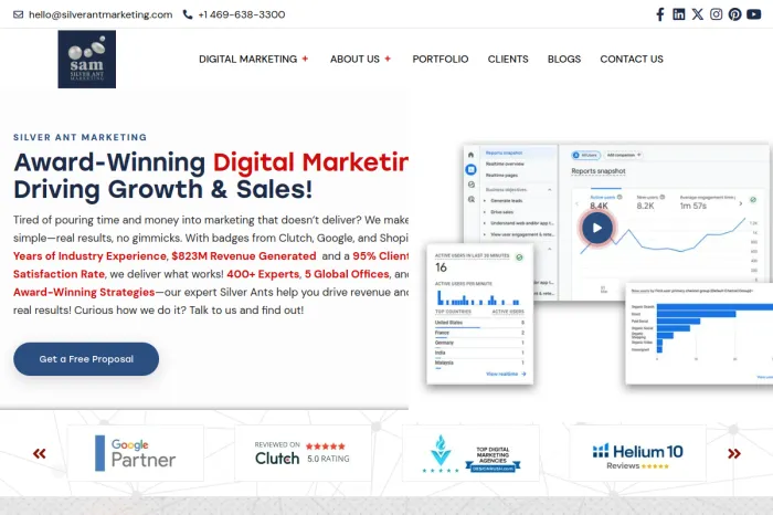 Silver Ant Marketing