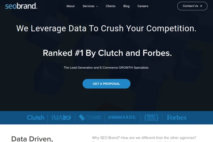 SEO Brand