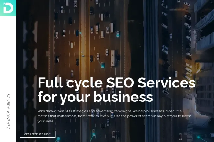 Devenup SEO