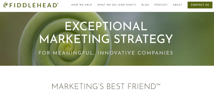 Fiddlehead® Marketing
