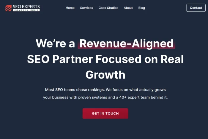 SEO Experts Company India