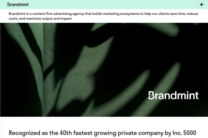 Brandmint