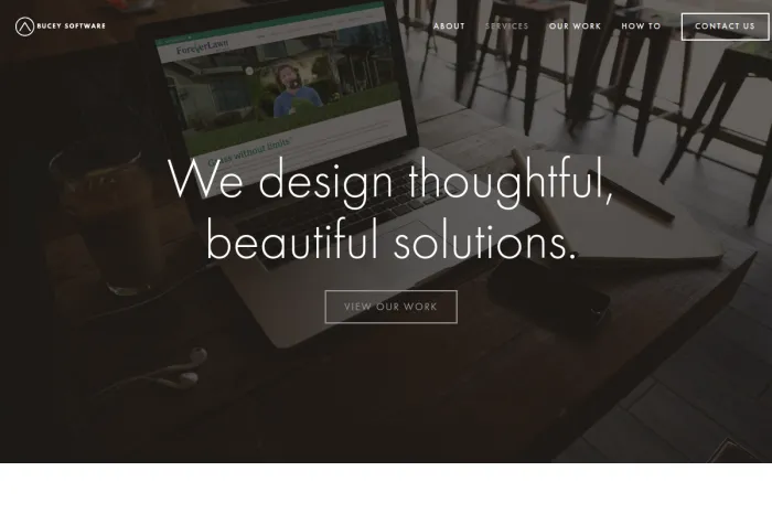 Bucey Software