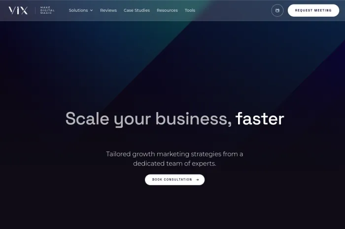 Vix Media Group