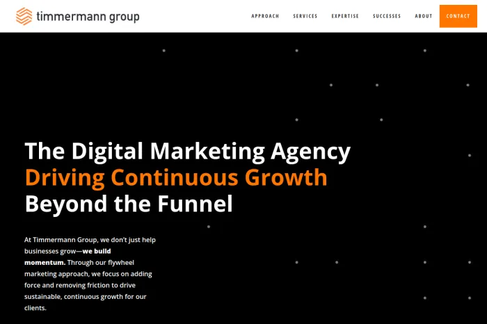 Timmermann Group