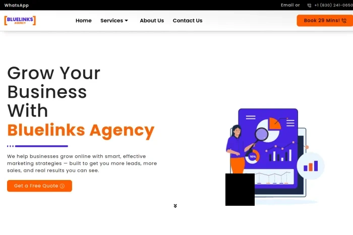 Bluelinks Agency