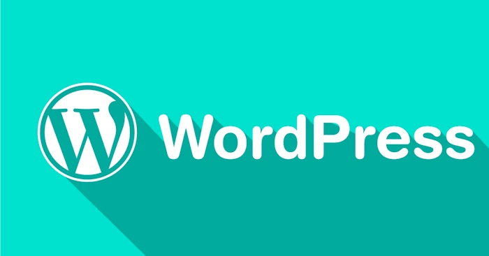 Top 10 WordPress PPC Agencies 2025