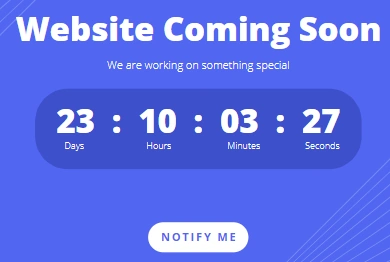 Roll Out the New Site