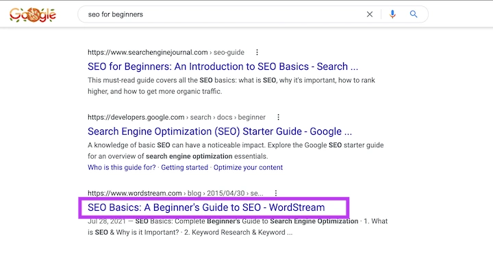 Check SEO