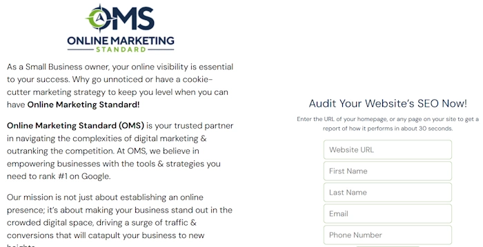 Online Marketing Standard