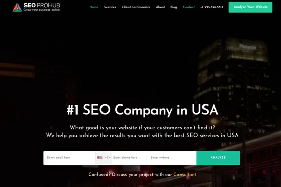 SEO Pro Hub