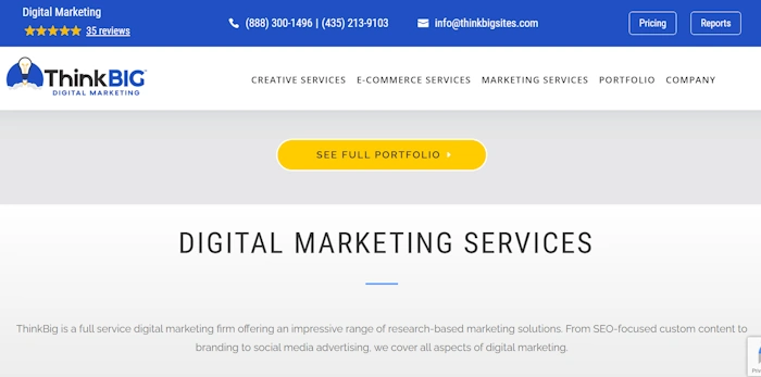 ThinkBIGsites.com
